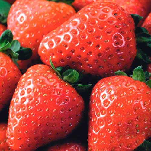Клубника Вкуснятина F1, семена — изображение 2