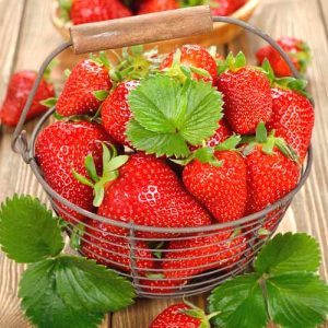 Клубника Вкуснятина F1, семена