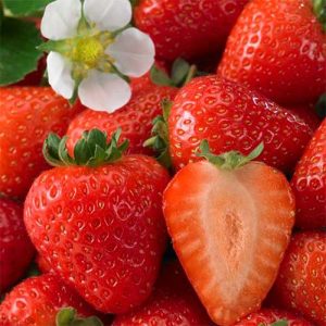 Клубника Вкуснятина F1 Русский огород НК